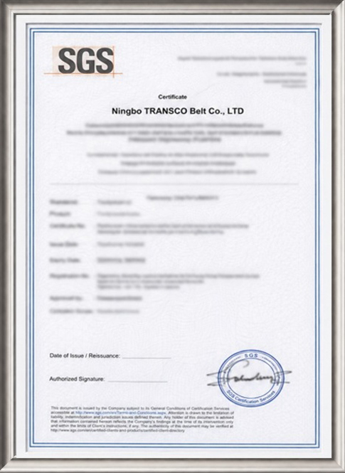 TRANSCO rubber belt certificate 6
